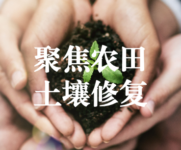 聚焦農(nóng)田土壤修復(fù)，保障糧食產(chǎn)品安全 ——踔厲奮發(fā)、篤行不怠，以?shī)^斗之姿獻(xiàn)禮黨的二十大