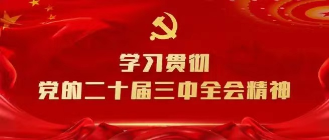 學(xué)習(xí)會(huì)議精神，貫徹落實(shí)工作 --川勘天晟源公司黨支部召開主題黨員大會(huì)